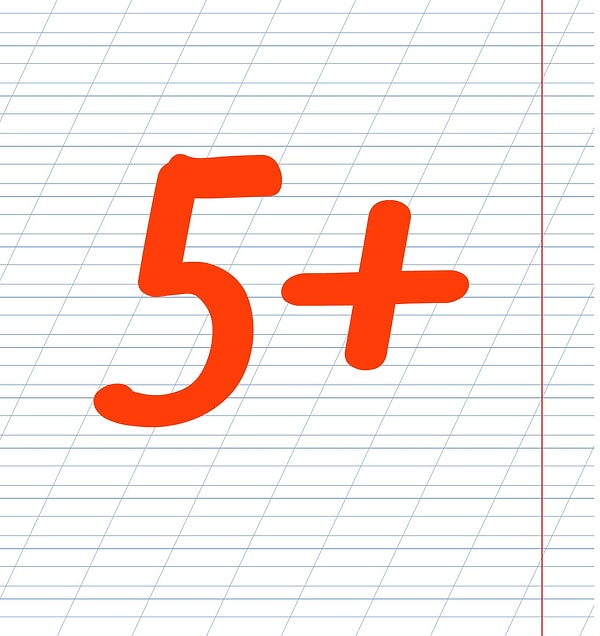 Ни одной ошибки! Ставим вам "5+"! 👏