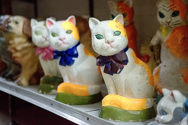 4. А этих котов в...