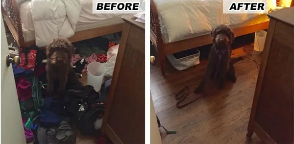 12. Теперь у собаки есть возможность кататься по полу и дурачиться!