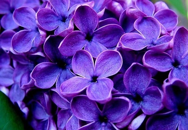 Вы доверчивый человек, которому характерны частые перемены настроения