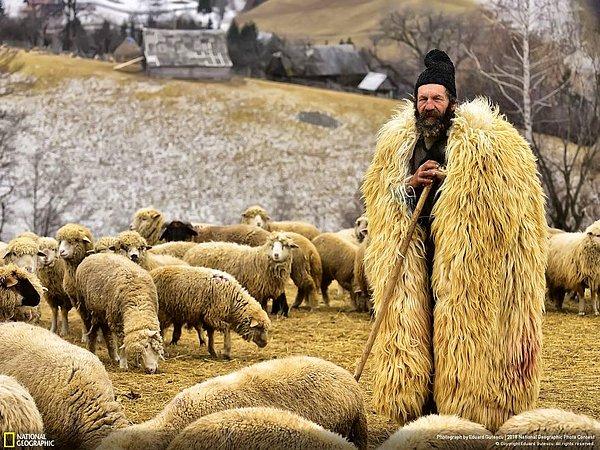 25. Transilvanya Çobanı, Eduard Gutescu: