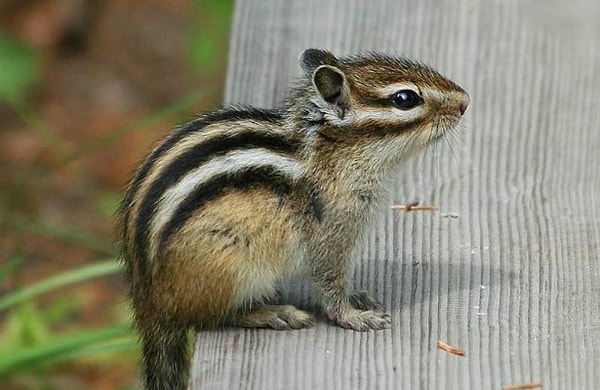 5. А на этом?