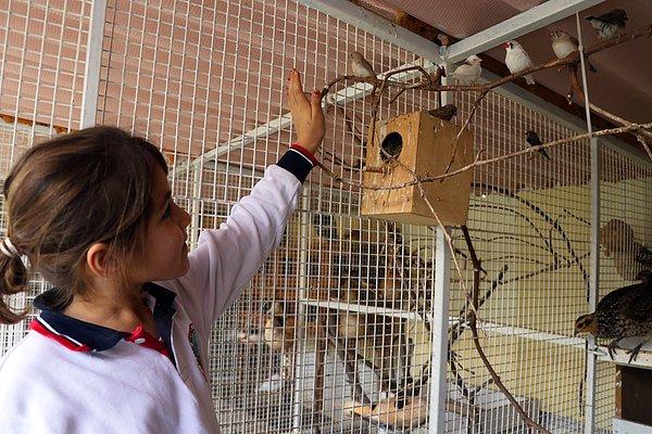 Adnan Menderes Üniversitesi ile iletişime geçen okul, 50 kuşun barındığı 'Sevimli Kanatlar Parkı'nı kurdu.