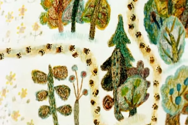 2. Где мы видели этот лес?