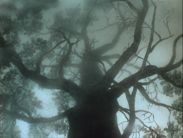 4. Откуда это криповое дерево?