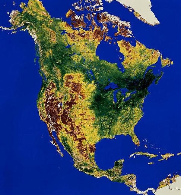 4. Какое место по площади занимает Северная Америка?