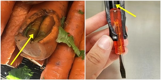 Günlük Hayatınızda Kullandığınız Objelerin İçlerinin Beklediğinizden Farklı Olduğunu Kanıtlayan 16 Görsel