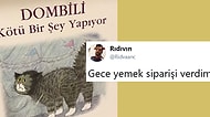 2018 Yılında Paylaştıkları Fotoğraflarla Twitter'ı En Çok Güldürmüş 47 Kişi