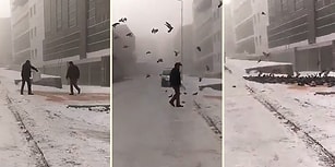 Yoğun Kar Yağışından Dolayı Aç Kalan Kuşları Besleyen Güzel İnsanlar