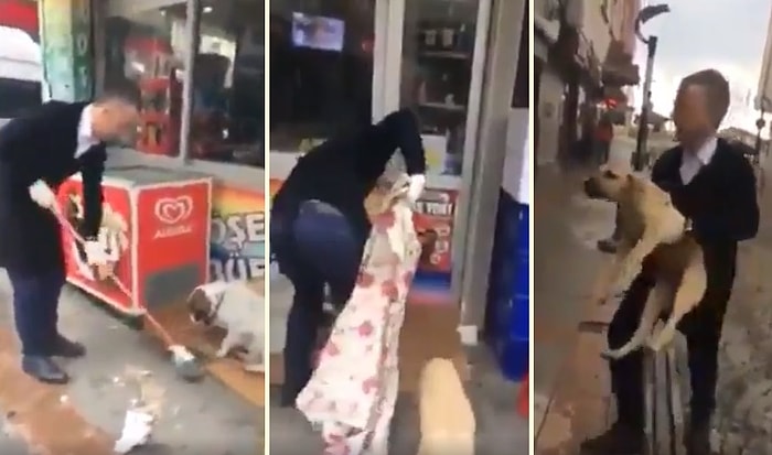 İyi Ki Varsın! Sokak Köpekleri İçin Marketinin Önüne Yuva Yapıp, Yuvayı Da Bir Güzel Temizleyen Esnaf!