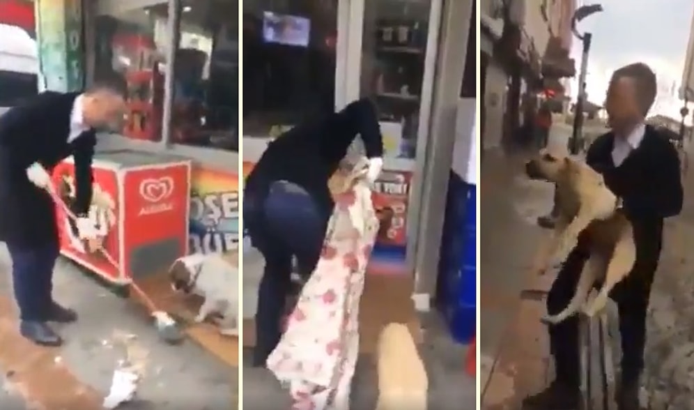 İyi Ki Varsın! Sokak Köpekleri İçin Marketinin Önüne Yuva Yapıp, Yuvayı Da Bir Güzel Temizleyen Esnaf!