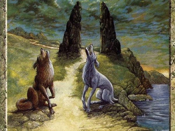 4. Вы помните свои сны?