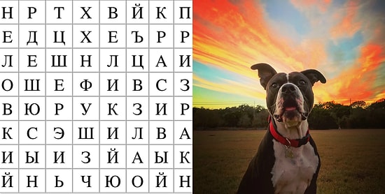 Тест: Слова, зашифрованные среди букв, расскажут о вас кое-что интересное