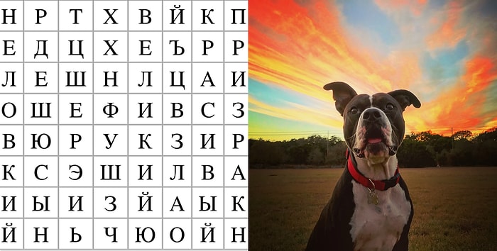 Тест: Слова, зашифрованные среди букв, расскажут о вас кое-что интересное