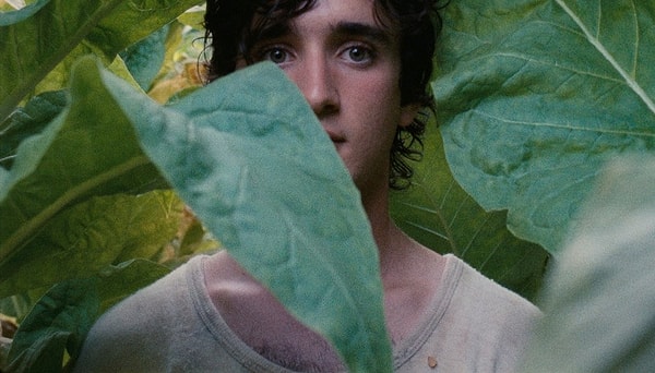 6. "Счастливый Лазарь"