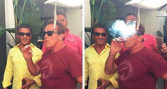 15 случаев, когда звезды влезли в фото обычных людей и превратили их в шедевры