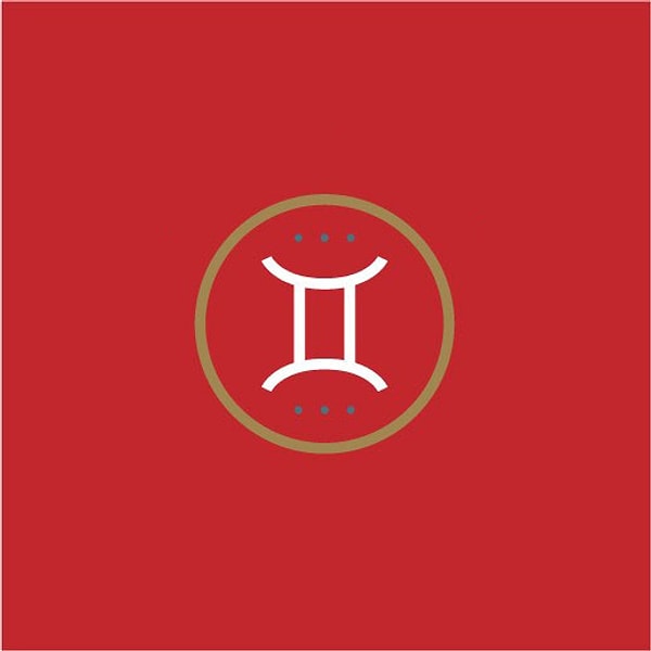 12. Близнецы