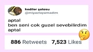 Neden Etkileşim Aldığına Akıl Sır Ermeyen Twitter Paylaşımları