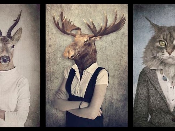 6. Вы надеетесь превратиться в...