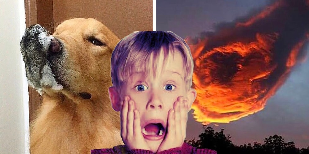 "Чтоооо?": 23 фото, на которые не помешало бы взглянуть дважды