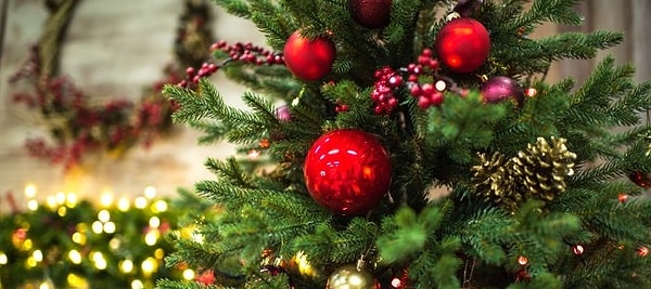 1. Выберите бутерброды на новогодний стол: