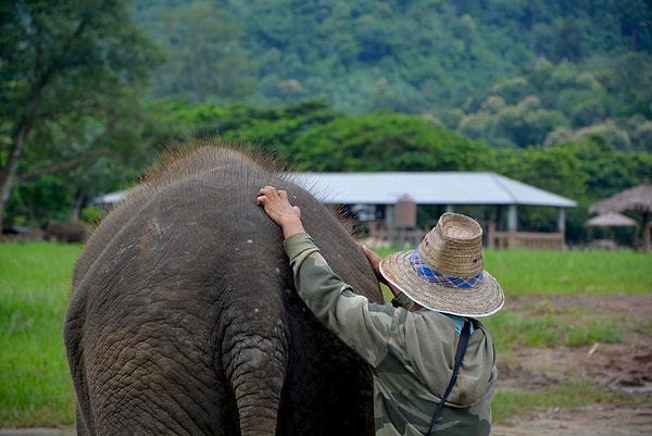 6. Большинство говорят по-английски в Бангкоке