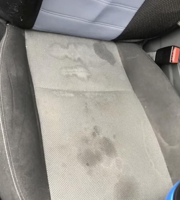 8. Что это за пятна, так навсегда и останется загадкой