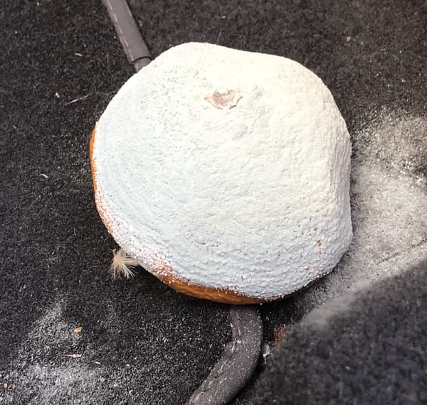 13. И, наконец, апельсин, который, кажется, скоро эволюционирует в другое существо и начнет вопить голосом человеческим