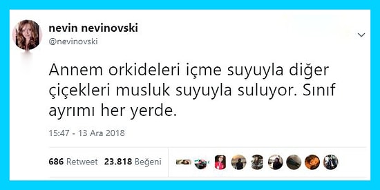 Aile Üyelerini Mizahlarına Alet Eden Goygoyculardan Haftanın Eğlenceli 17 Paylaşımı