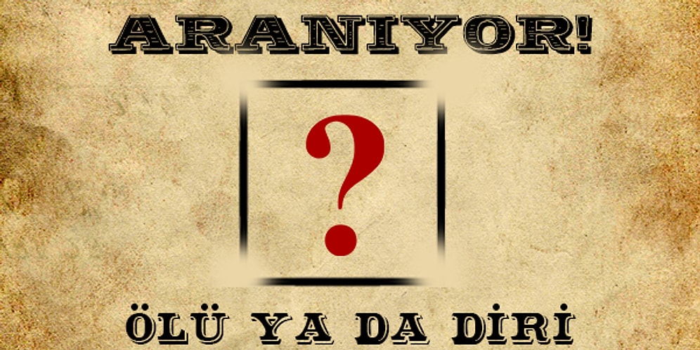 Haydutu Yakalayabilecek misin?