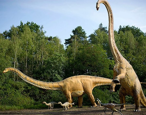 2. По-вашему, что необходимо для выживания?