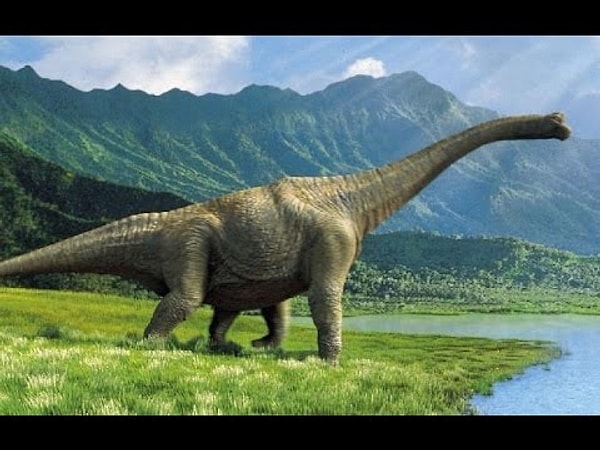 5. Если бы это было в ваших руках, вы были бы ...