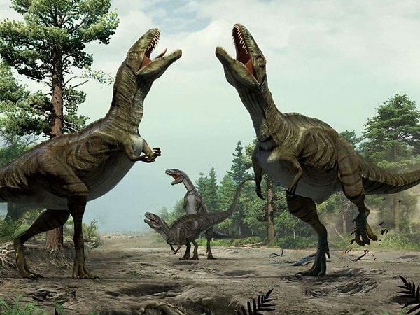 8. Каких вы предпочитаете людей вокруг себя?