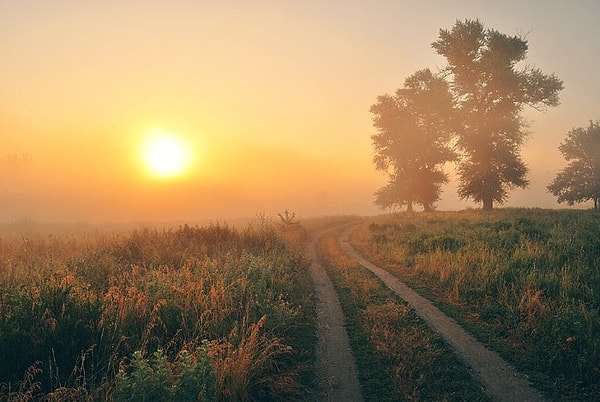 6. Выберите верный ответ.