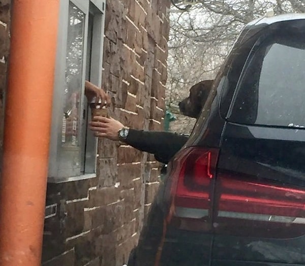 19. Хороший мальчик решил купить кофе своему человеку