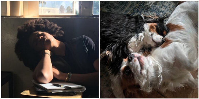 Yaşadığı Anı Ölümsüzleştirmek İsterken Yanlışlıkla Rönesans Tablosu Yaratan Kişilerden 24 Muhteşem Kare