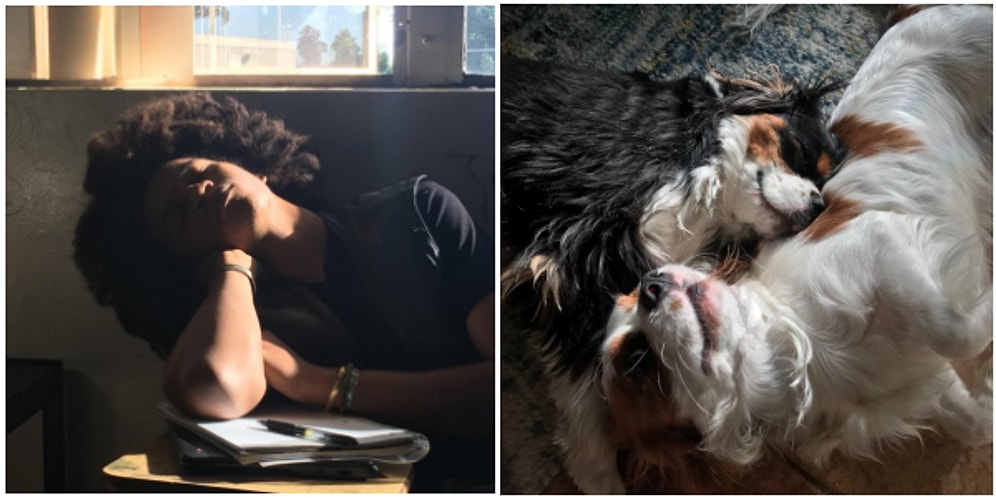 Yaşadığı Anı Ölümsüzleştirmek İsterken Yanlışlıkla Rönesans Tablosu Yaratan Kişilerden 24 Muhteşem Kare