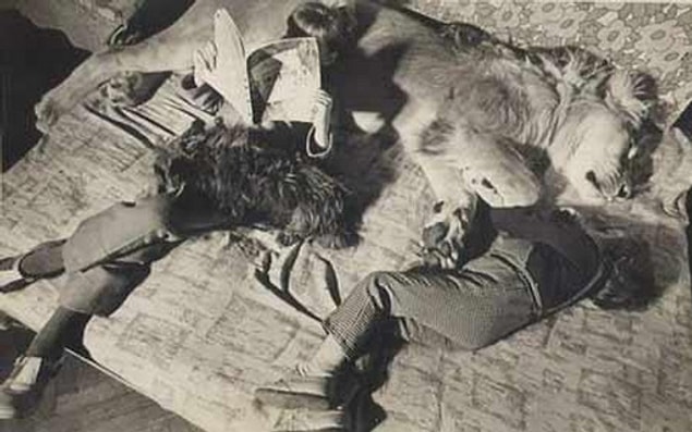 Aslana “Kral” ismini verdiler.