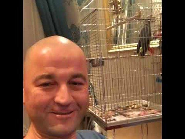 Murat Özdemir, bu tepkilerin ardından bir video daha yayınladı. Hayvan acı içerisinde bağırmaya devam ediyordu.
