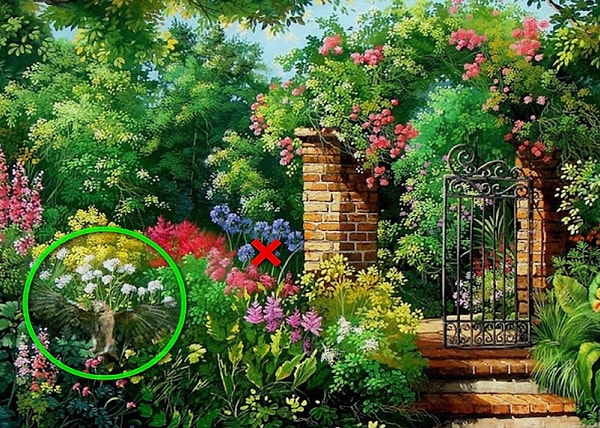 Правильное местоположение: