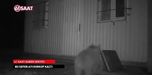 Evine Dadanan Ayıyla Karşılaşan Trabzonlu Adamdan Muhteşem Tepki: 'Hooww Adamım Haber?'