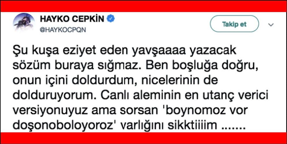 MasterChef Murat Özdemir'e Papağana Yaptığı İşkence Sebebiyle Sert Tepkilerini Gösteren Ünlüler