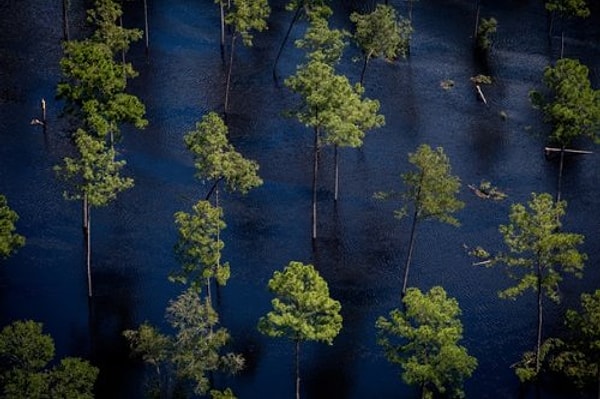 12. Наводнение во время урагана "Флоренс" в Северной Каролине (США). Снимок сделан 18 сентября.