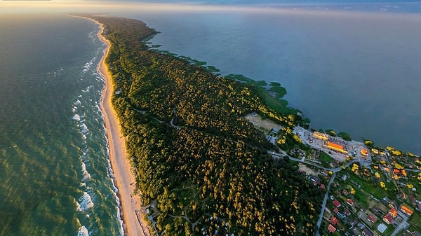 4. Рак: Куршская коса