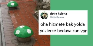 2018'de Sokaklarda Görülmüş En Garip ve En Komik 20 Manzara