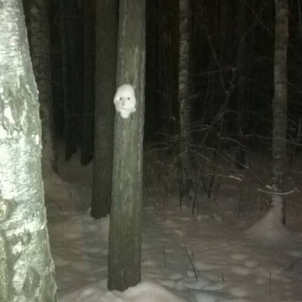 25. Кажется, кто-то замёрз не на шутку!