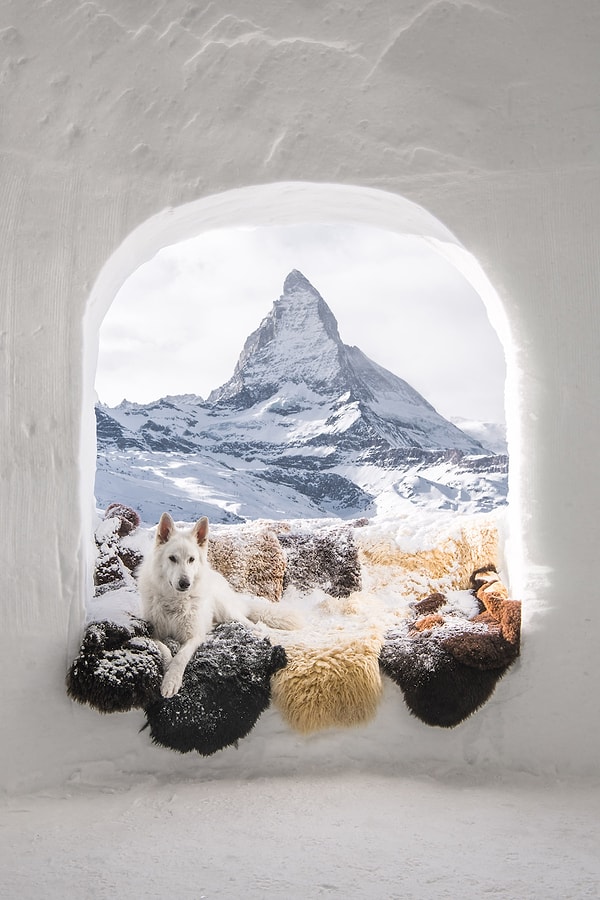 16. "Король ледяного замка" - Сильвия Мишель (Швейцария)