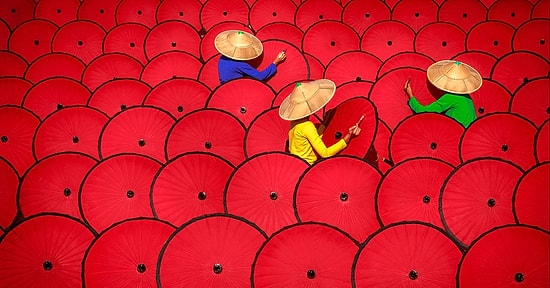 19 фотографий Международной премии Sony World Photography 2019, принять участие в которой еще не поздно