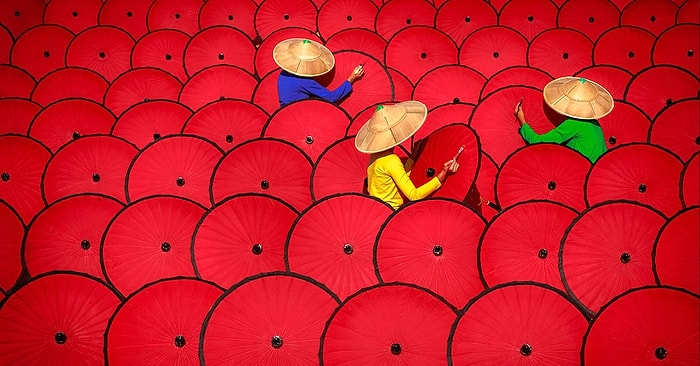 19 фотографий Международной премии Sony World Photography 2019, принять участие в которой еще не поздно