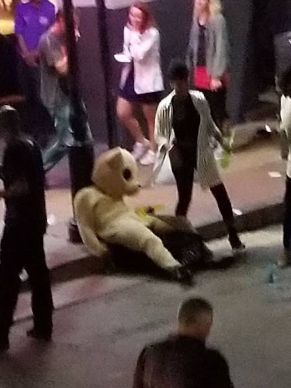 1. Мишка устал, не трогайте мишку